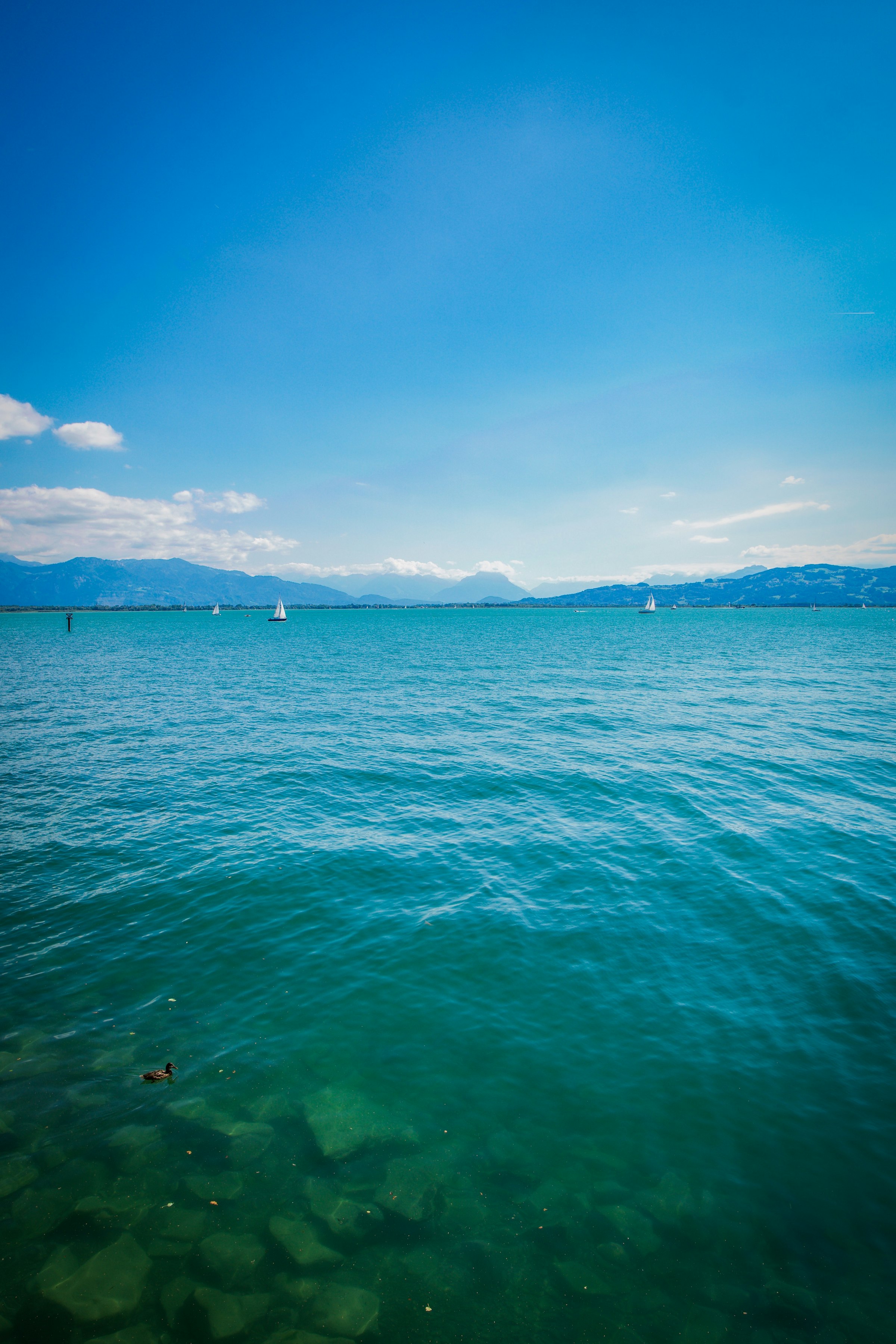 Blick über den Bodensee mit Alpenpanorama im Hintergrund